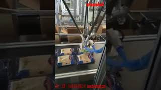 How to Automatic Case Packing for Macaroni in Pouch. Robotic Pick and Place Pouch by Delta Robot.