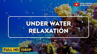 Underwater Relaxing Music -Satisfying Sensory Sleep Music - Stress Relief Music, Meditation