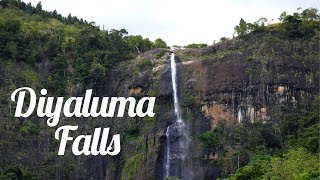 Diyaluma Falls | Diyaluma Ella | දියලුම ඇල්ල (Ella, Sri Lanka)