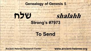 The Genealogy of Genesis 5