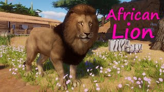 African Lion - Future Life Sub Saharan Africa