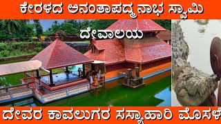 ಅನಂತಾಪದ್ಮನಾಭ ದೇವಾಲಯ ಚರಿತ್ರೆ | ಸಸ್ಯಾಹಾರಿ ಮೊಸಳೆ ಬಬಿಯ || Anantapadmanabha devalaya