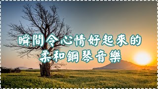 令心情好起來的柔和鋼琴音樂 適用學習、工作、休息、入睡前【1小時】 Soothing Music, Insomnia, Sleeping Music, Piano Music