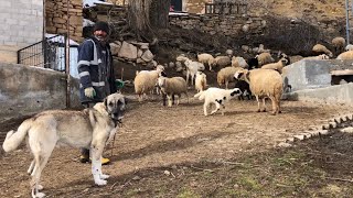 SÜRÜMÜZÜ KOMPLE DIŞARI ÇIKARDIM AZAPIN KARİZMA YAKIYOR