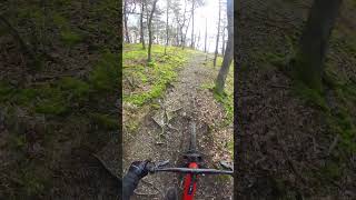 ebike test #enduro #mtb #ebike #trek #rail #insta360go3