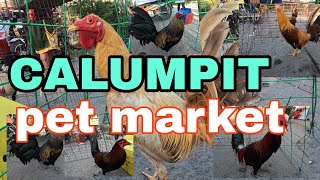 Calumpit pet market