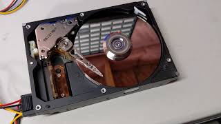 Hard Drive Failure - Loud Clicking