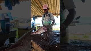 How To fillet a Trevally Fish #shorts