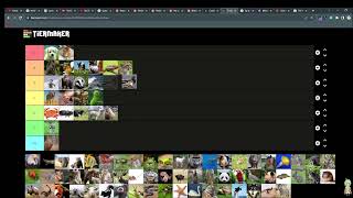HUGE Animal Tier List!