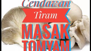 cendawan Tiram buat tomyam memang sedap