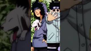 team kurenai