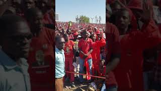 Chamisa declared President of Zimbabwe at Anniversary Rally