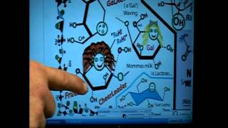 Chemistry BOOK-Color by Numbers-Kids and College FUN Science Pages4ALL-Part2