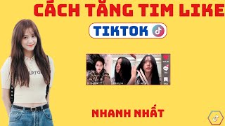 Tăng Like Tiktok 2024 Nhanh Nhất | TĂNG TIM TIKTOK