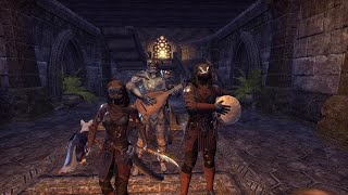 Two lizards and a cat get into trouble (Elder Scrolls Online)