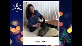 Joan's 12 Day of Giving: Day 5 Animal Chakras Course + Adopt an Orphaned Elephant