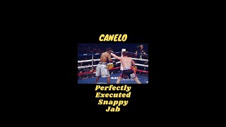 Perfectly Executed Snappy Jab: Canelo vs Trout #shorts