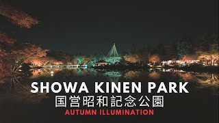 The Most Beautiful Autumn Leaves and Evening Lights at Showa Kinen Park Tokyo | DJI Osmo Pocket 3