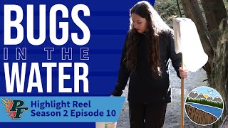 P.F. Highlight Reel S2 Ep.10 - Bugs in the Water