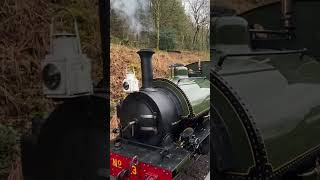 “Sir Haydn” at Brynglas