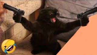 Смешные животные 😂 кошки и собаки 😺🐶   /Funniest Cats and Dogs 😺🐶