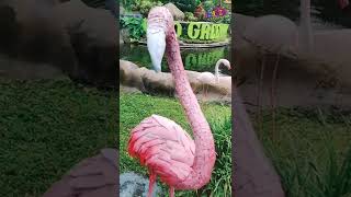 Patung unik Patung flaminggo daur ulang di Eco Green Park #shorts