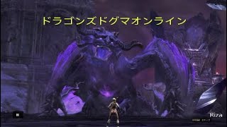 ドラゴンズドグマオンライン メインクエスト 「すべての行く末」をやってみました