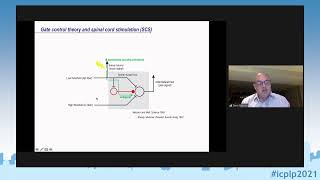 ICPLP2021 - Prof. Prescott: The role of spike synchrony in tactile perception revealed by ...