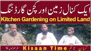 Agriculture Farming - Kitchen Gardning on Limited Land | kisaan Time کسان ٹائم