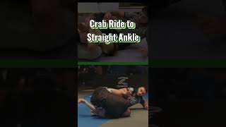 Crab Ride to Straight Ankle Lock #bjj #jiujitsu