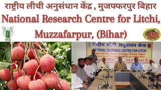 NRC-Litchi | National Research Centre for Litchi, Muzaffarpur Bihar, लीची अनुसंधान केंद्र मुजफ्फरपुर