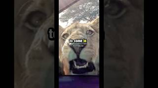 Mike Tyson’s Lion Scared Charlie Murphy