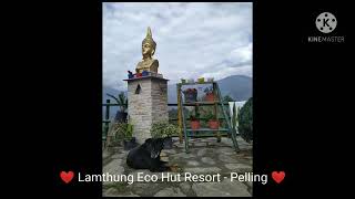 Pelling || Budget Resort with Kanchenjunga Hill View || Lamthang Eco Hut Resort