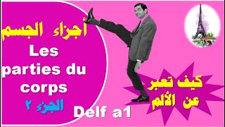 تعلم الفرنسية للمبتدئين- أجزاء الجسم -✅وكيف نعبر عن الألم 💯 الجزء 2🔝