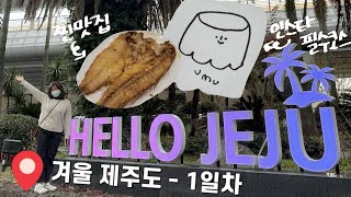 제주도 3박4일 여행 𝕧𝕝𝕠𝕘 - 1일차/대구공항✈️/은빛식당🐟/우무umu/하나로마트/한화리조트❄️