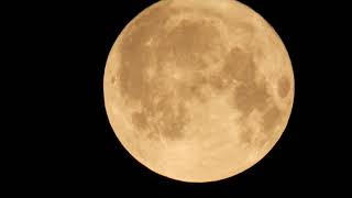 Full Solstice Strawberry Moon. June 22, 2024, Saturday. Part 4.