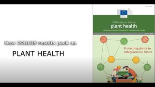 Plant health: Protecting plants to safeguard our future