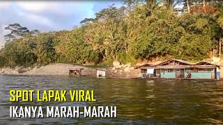 SPOT LAPAK VIRAL !!! MANCING NILA DI WADUK WADASLINTANG TERBARU