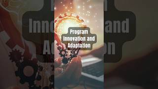 Program Innovation and Adaptation in the Non-Profit Sector