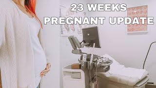 I FINALLY HAVE AN OBGYN | 23 WEEKS PREGNANCY UPDATE