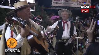 JINETEADAS EN BASTOS - FIESTA PROVINCIAL DEL CABALLO URDINARRAIN 2024 (Video 2)