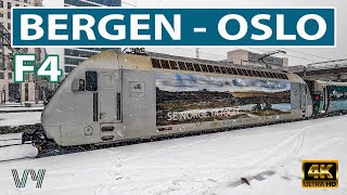 🇳🇴 The Bergen Line - train journey from Bergen to Oslo