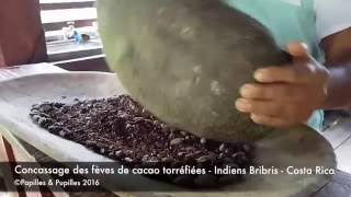 Concassage des fèves de cacao torréfiées