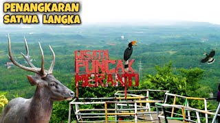 WISATA PUNCAK GUNUNG MERANTI KOTABARU || LIBURAN SAMBIL BELAJAR