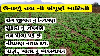 sesam farming 🚀💸 | ઉનાળું તલ ની સંપૂર્ણ માહિતી..