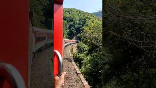 Goa diaries ❤️ Madgaon express 🚞🛤 #goa #goadiaries #train #travel #trending #ytshorts #shorts