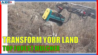 Forest Mulcher in Action Watch How It Transforms Overgrown Land