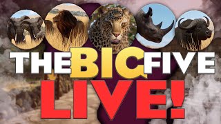 Let's Build for Africa's Big Five... LIVE!! | Planet Zoo Building Livestream