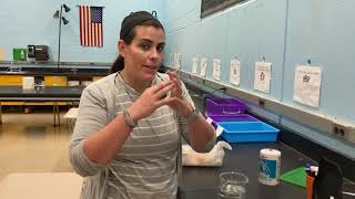 Egg Osmosis Lab Demonstration