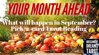 🍁THE MONTH AHEAD⁉️ What will happen in September?🍁